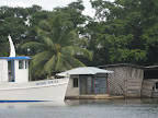 river view from boat to Pearl Lagoon