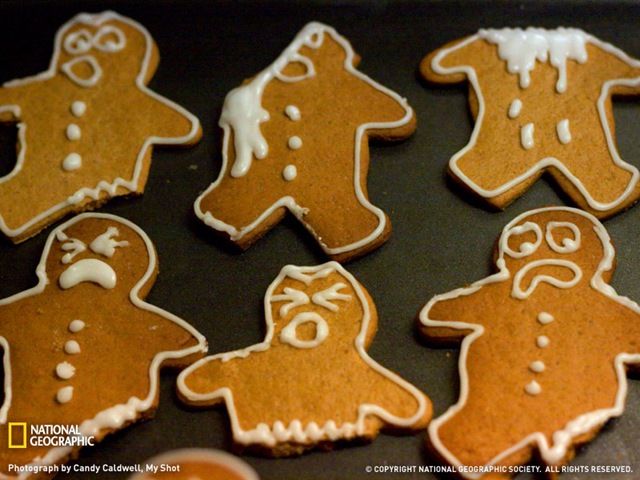 [gingerbread-men-cookie serial killer[3].jpg]