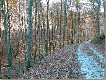 Mammoth Cave Back Road