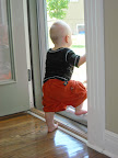 Watching the neighbor mow his lawn.