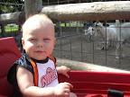 Deanna Rose Farmstead