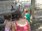 Cecelia, Corinne, Kahle