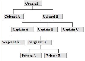 Hierarchy of An Organization Chart from Wikipedia