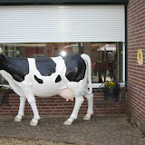 Buluitreiking feest Lonneke