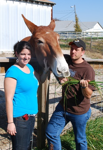 [Mule2[3].jpg]