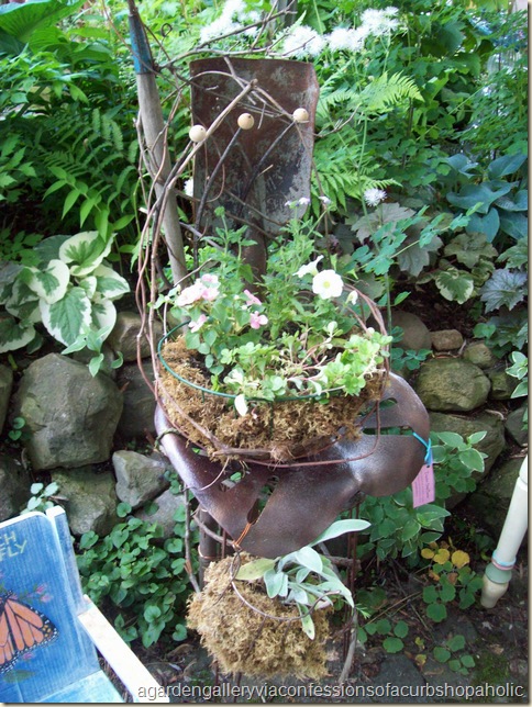 garden gallery 035