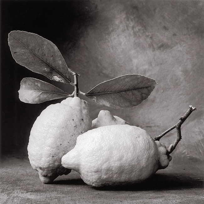 TheartofthephotogravureDCCyDecosse33010.jpg