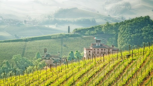 barolo-znad-winnicy