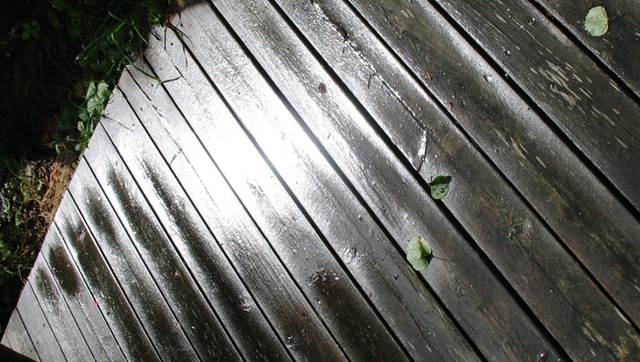 [Platform in Sunlight[5].jpg]