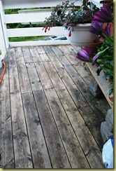 St Hans Anna cleaned the Deck