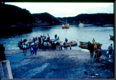 Puerto Montt - fangsten skal i land