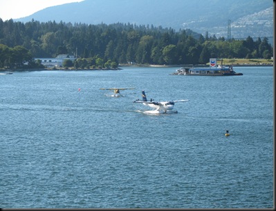 IMG_0808 IMG_0808