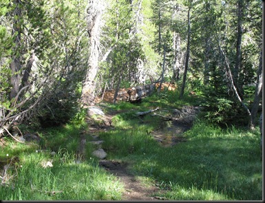 Yosemite Wilderness