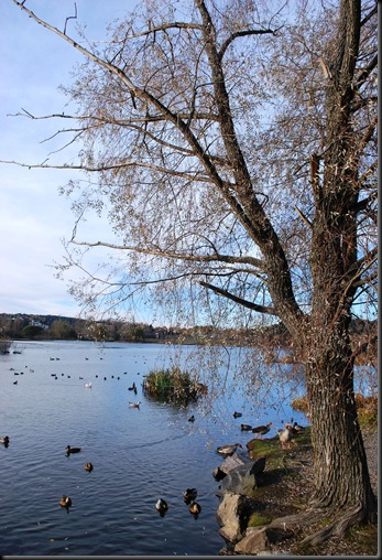 Østensjøområdet miljøpark Østensjøområdet miljøpark
