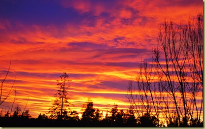 Solnedgang - Vestskrenten