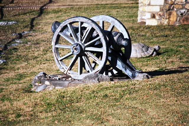 [Lago Vista Dec 9 2010 Gun and Turtel[4].jpg]