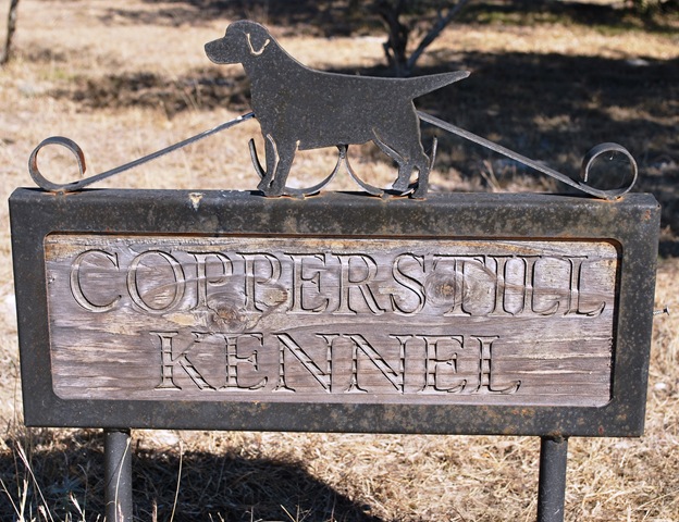 [Lago Vista dec 9 2010 - Copperstill Kennel[3].jpg]