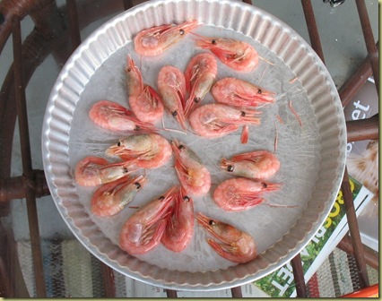 April Shrimps