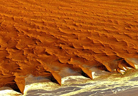 desert