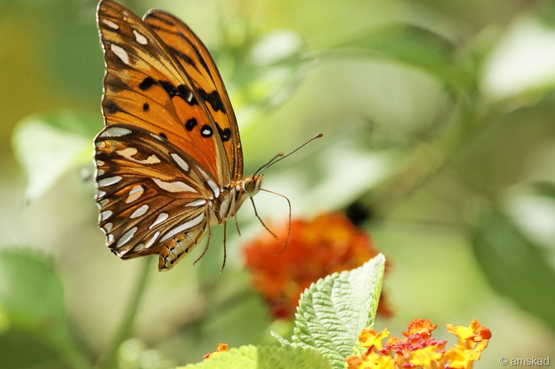 [_DSD0753_ka[7].jpg]