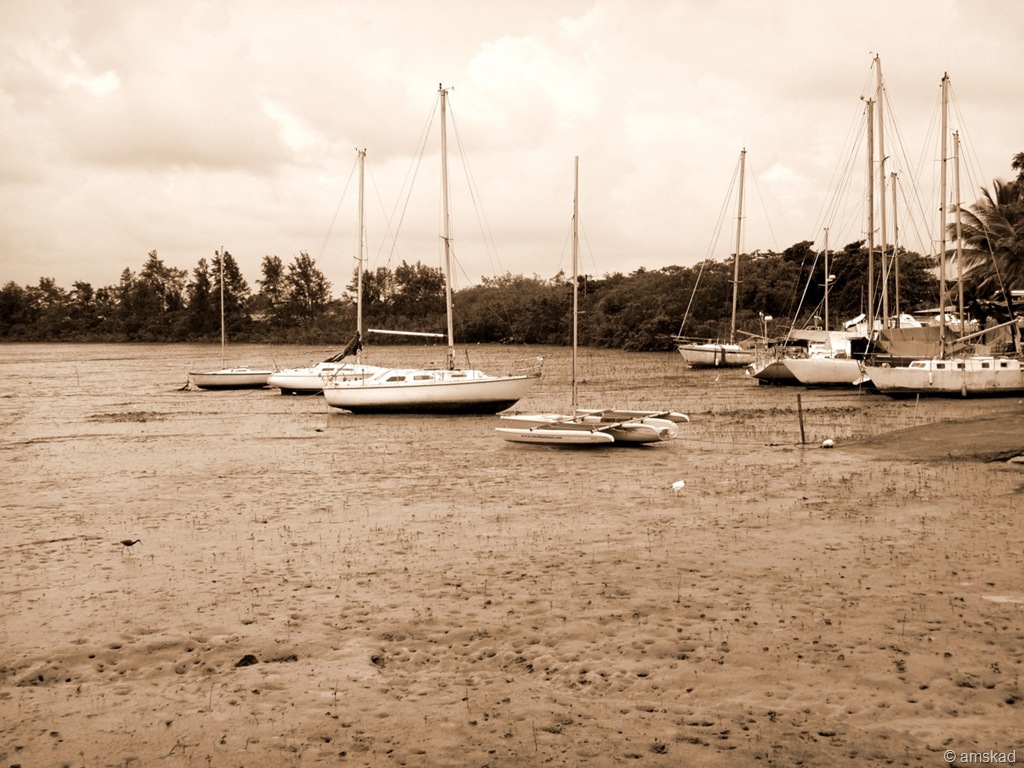 [DSC00078_ka bis.jpg]