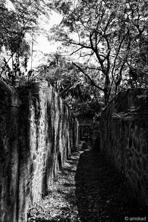 [DSC05905_ka[2].jpg]