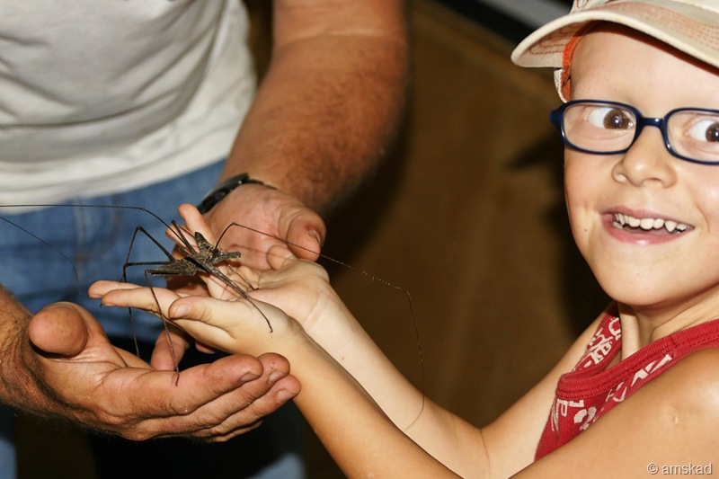 [DSC02675_ka[4].jpg]