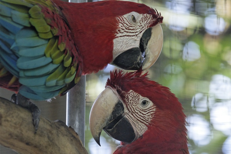 [_DSC4079_ka[3].jpg]