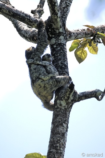 [_DSC7091_ka[3].jpg]