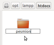 Renaming Folder