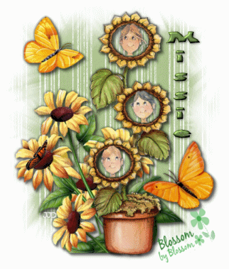 Blossom by Blossom Missie JJD