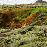 Big Sur, California