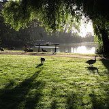 Breakfast in Golden Gate Park
