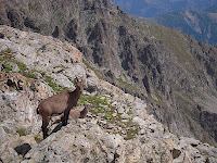 DSCN1410.JPG