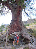 DSCN1266.JPG