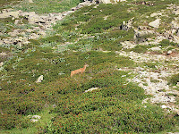 DSCN1373.JPG