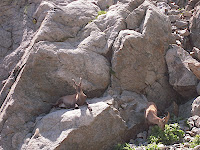 DSCN1418.JPG