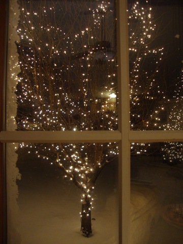 [First Snow 2009 034[2].jpg]