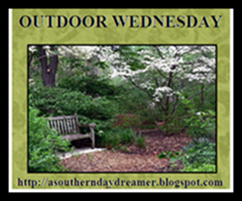 [Outdoor Wednesday Button[2].png]