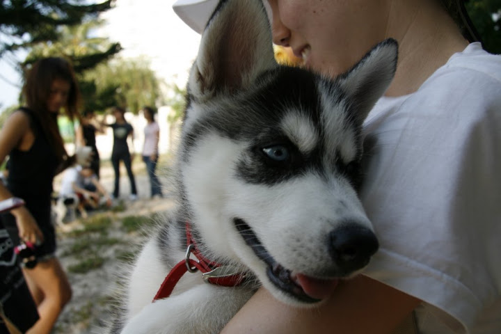 _MG_0125.JPG