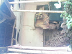 PHOT0010.JPG