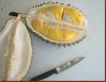 Durian 003