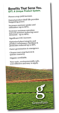 greenflash-p3.png