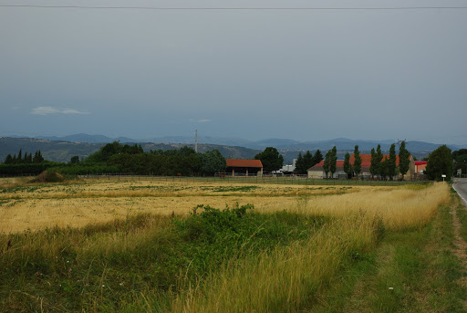 curson
