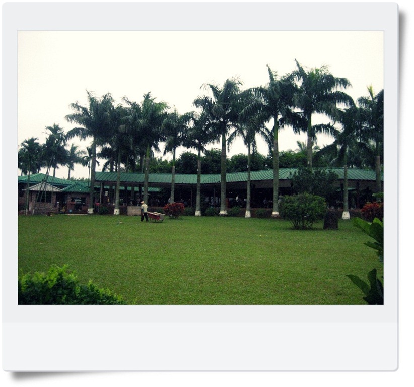 [IMG_958812.jpg]