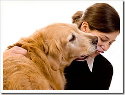 dog-lick dog-lick