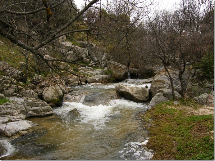 DSCF1154 DSCF1154