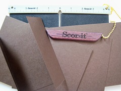 Scor-it1