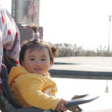 2008年11月29日武汉街头随拍