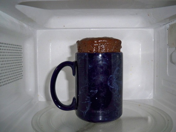 [100_2429.JPGcake in a mug[2].jpg]